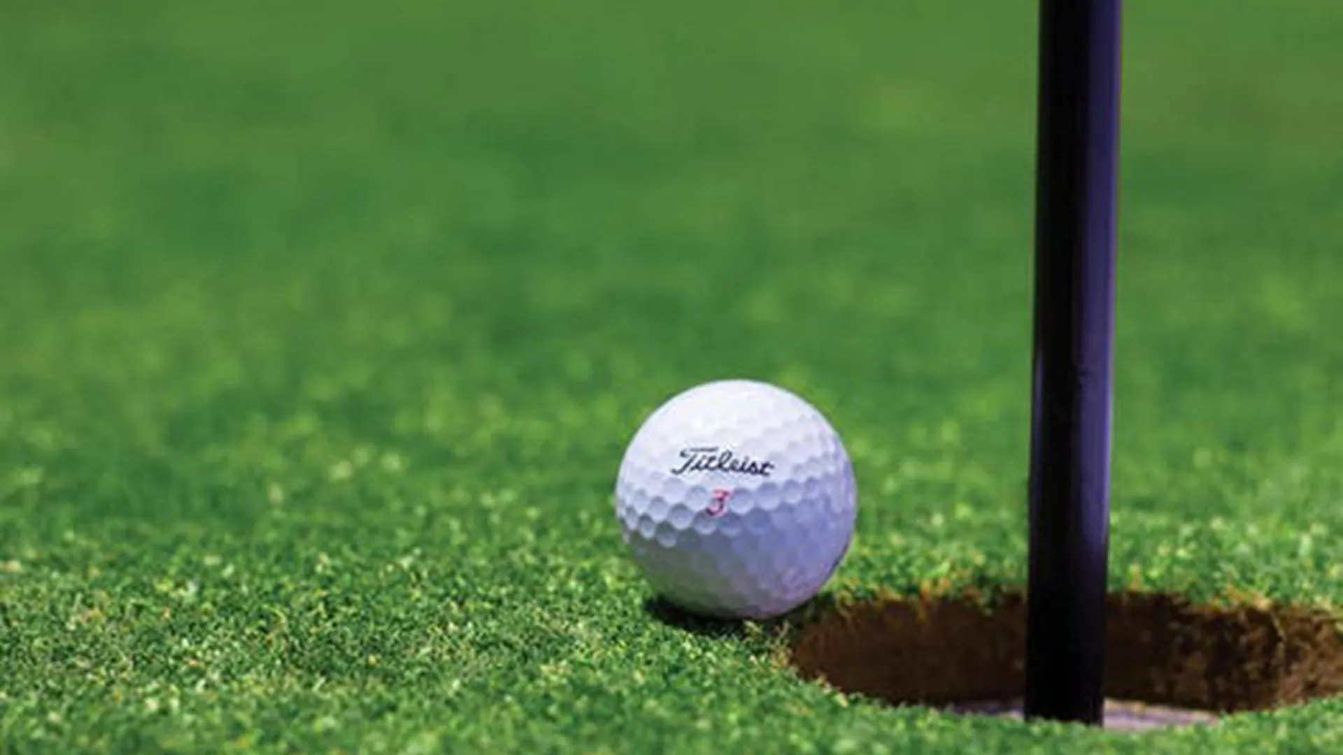 **** Hotel Holiday Inn Virginia Beach - Norfolk By Ihg United States